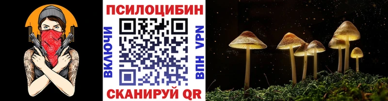Галлюциногенные грибы Psilocybine cubensis  купить наркотик  Томилино 