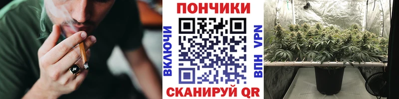 Каннабис AK-47  цены наркотик  Томилино 